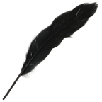 OHMAMA - ENSEMBLE POUR COUPLES NUMÉRO 3