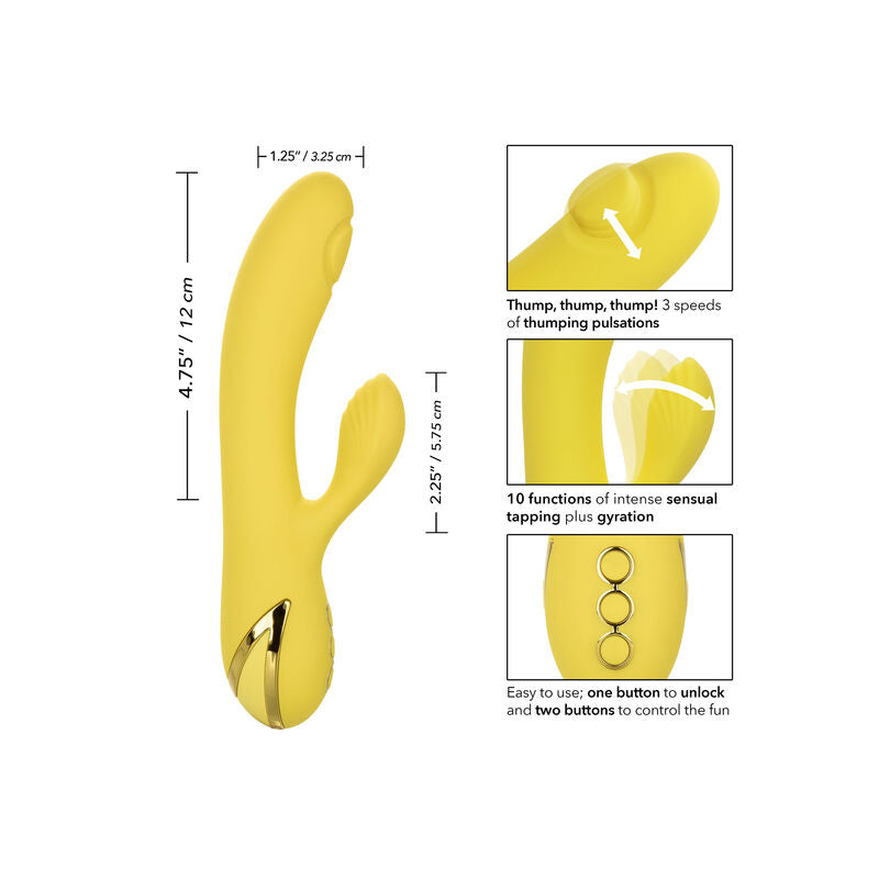CALEXOTICS - LA SÉDUCTION DE SAN DIEGO