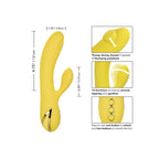 CALEXOTICS - LA SÉDUCTION DE SAN DIEGO