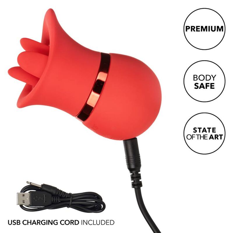 CALEXOTICS - ENSEMBLE DE JEUX ET DE SUCCION FRENCH KISS