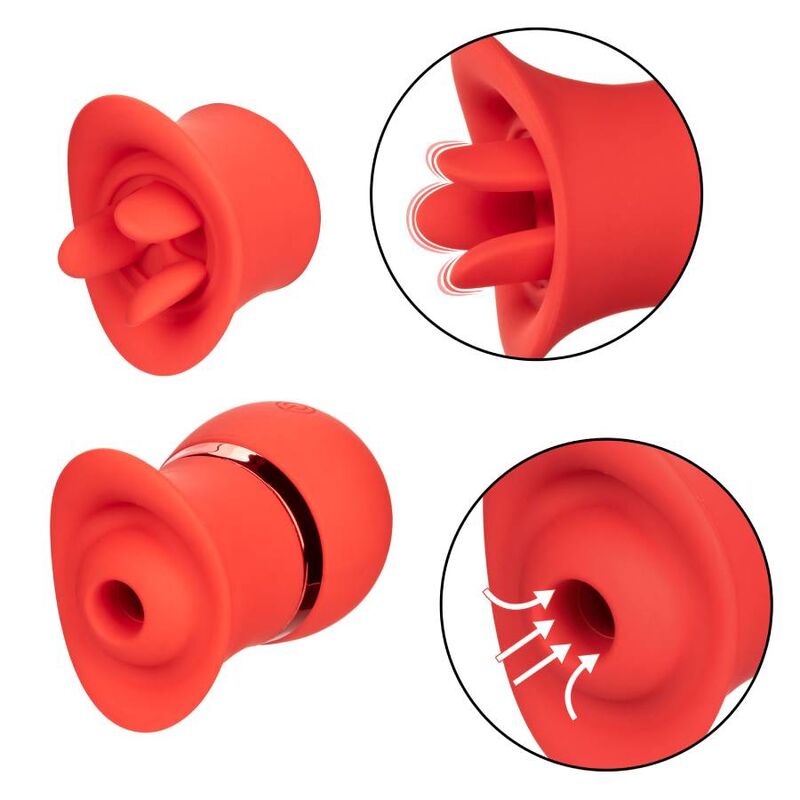 CALEXOTICS - ENSEMBLE DE JEUX ET DE SUCCION FRENCH KISS