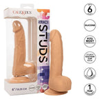 CALEXOTICS - Clous en silicone 15,24 cm pour cuir