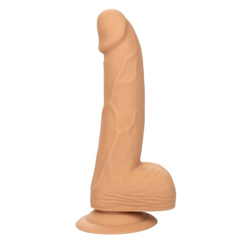 CALEXOTICS - Clous en silicone 15,24 cm pour cuir