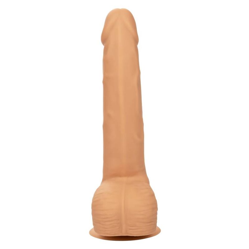 CALEXOTICS - Clous en silicone 20,32 cm pour cuir