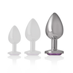 INTENSE - Plug anal en métal aluminium avec cristal violet, taille L
