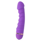INTENSE - SALLY 20 VITESSE SILICONE LILAS