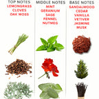 EYE OF LOVE - EOL PARFUM PHÉROMONE 10 ML - ROMANTIQUE