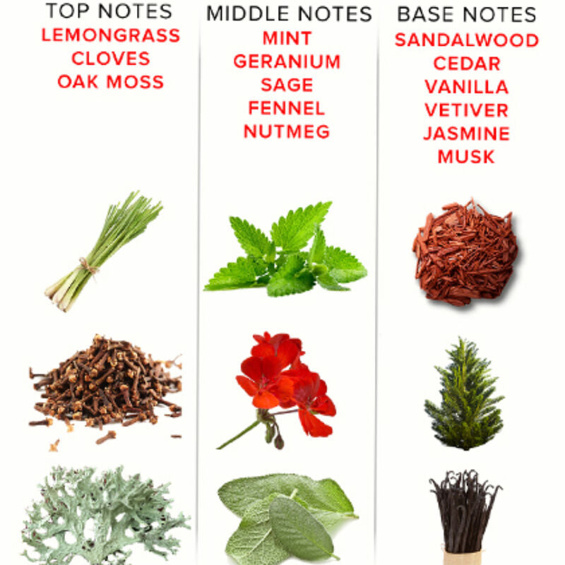 EYE OF LOVE - EOL PARFUM PHÉROMONE 10 ML - ROMANTIQUE