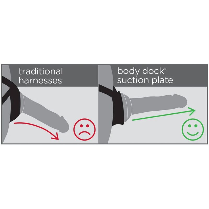 DILLIO - HARNAIS DE QUAI POUR CORPS VIOLET