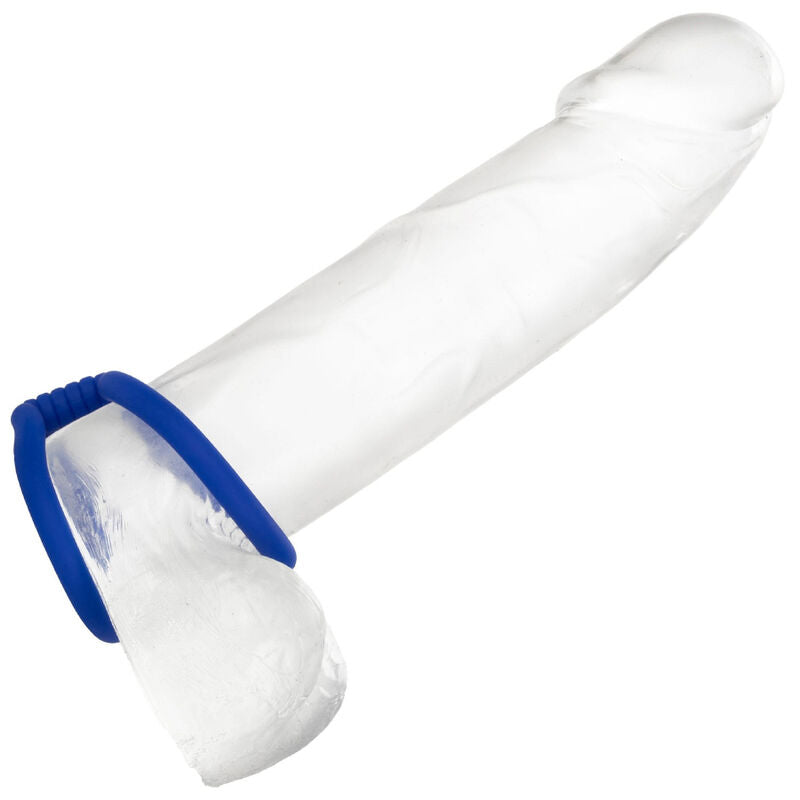 CALEXOTICS - CAGE À COQ DOUBLE BLEUE ADMIRAL