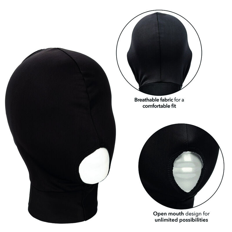 CALEXOTICS - UN COIN SANS LIMITES