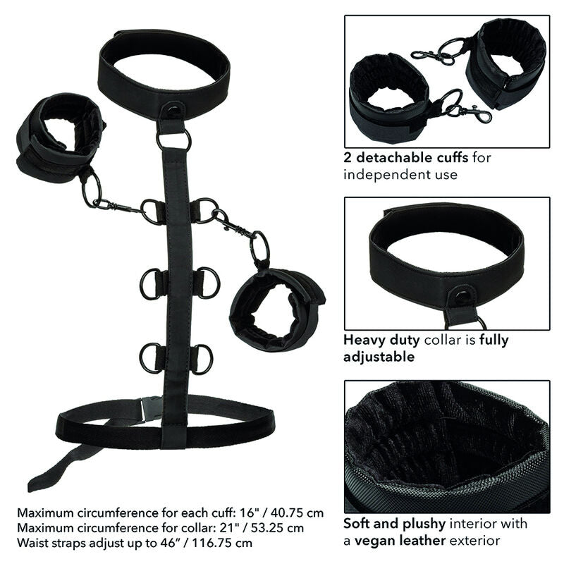 CALEXOTICS - BOUNDLESS BODY RESTRAINT COLLAR