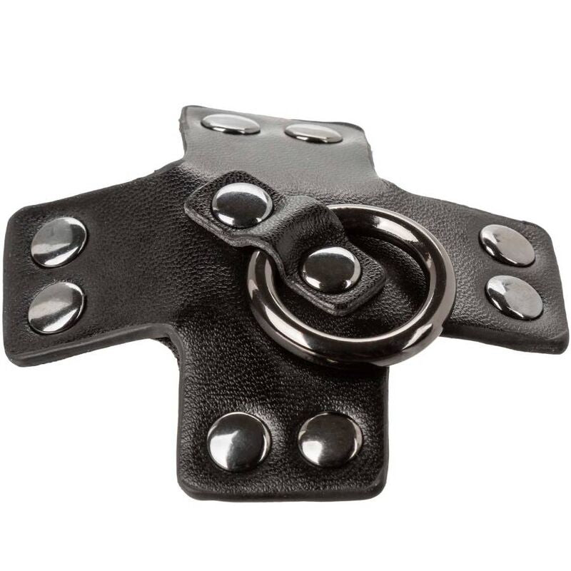 CALEXOTICS - JOINT TORIQUE EUPHORIA NOIR