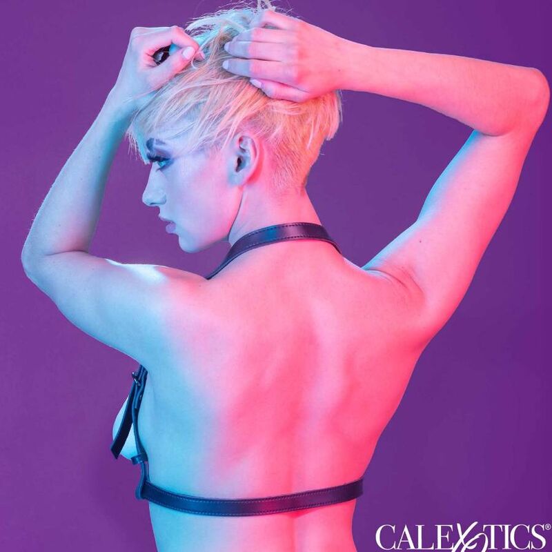 CALEXOTICS - EUPHORIA HARNESS WITH BLACK HALTER BUCKLE