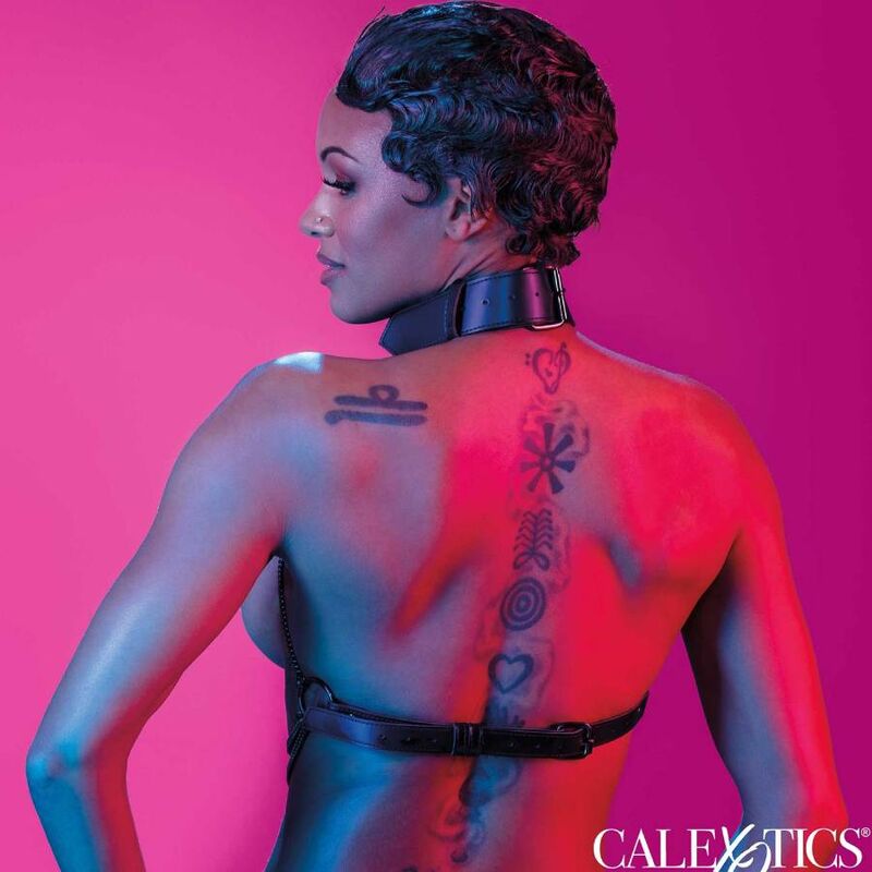 CALEXOTICS - EUPHORIA HARNAIS À COLLIER MULTI-CHAÎNES