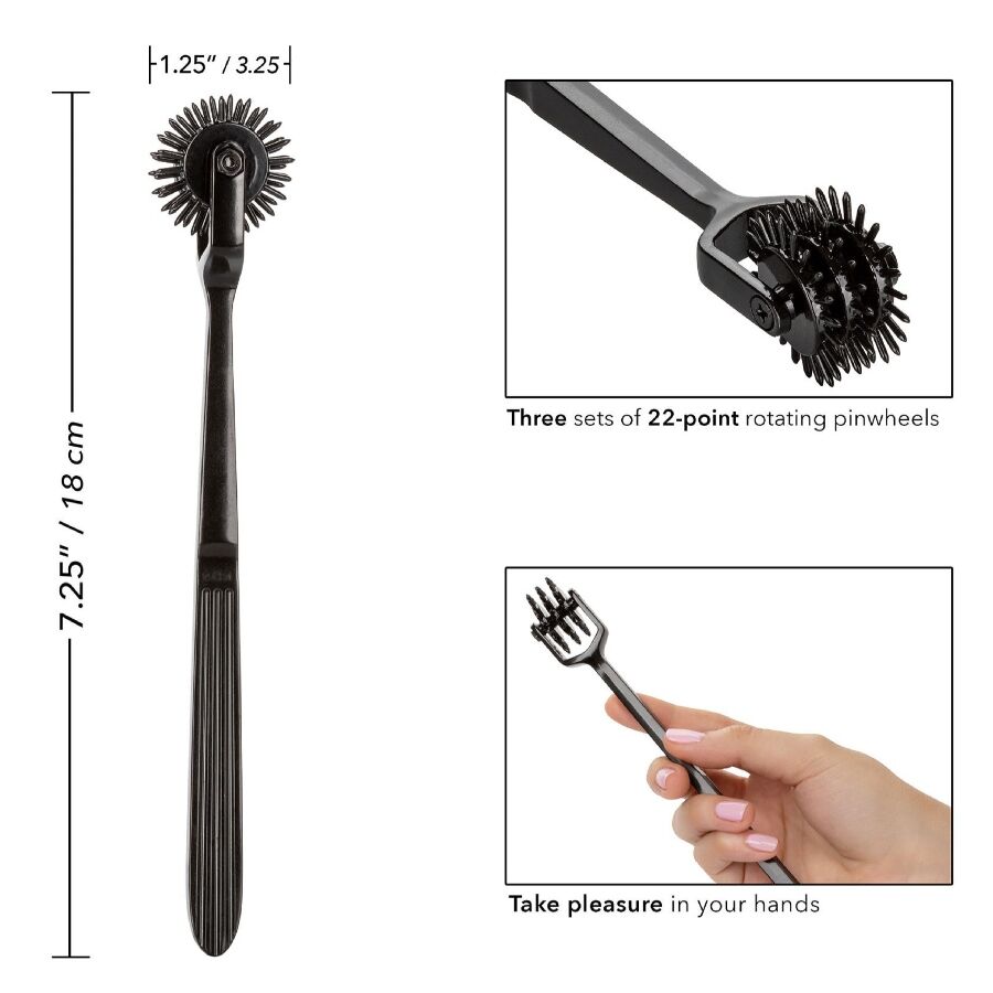 CALEXOTICS - TRIPLE WHEEL OF PLEASURE SCANDAL