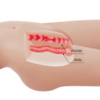 CRAZY BULL - MIA TORSE FÉMININ RÉALISTE AVEC VAGIN ET ANUS 8,5 KG