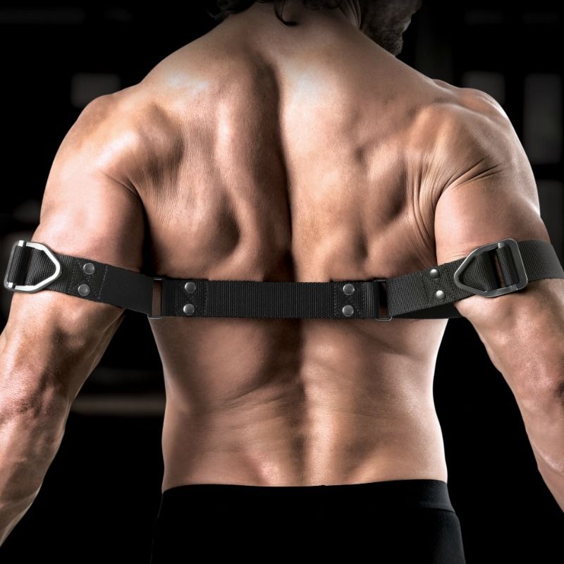 SIR RICHARDS - COMMANDE DE FLEXION DES BICEPS