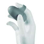 BIJOUX - KIT D'HOROSCOPE CAPRICORNE INDISCRET