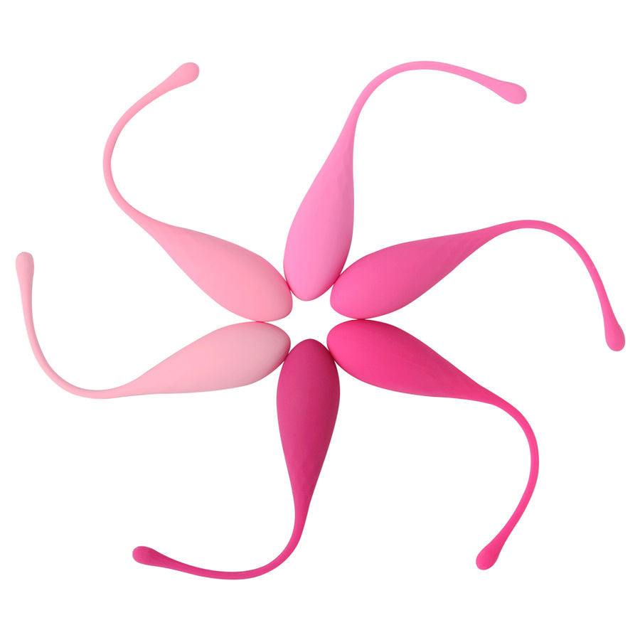 LESLIE - KEGEL FIT 6-PIECE PELVIC MUSCLE TRAINING SET