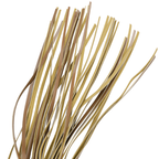 FETISH SUBMISSIVE ORIGIN - VEGAN LEATHER WHIP